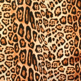  "Wild" Leather 