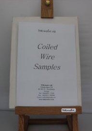  Samples in English 